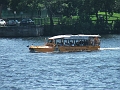 August 2008 036